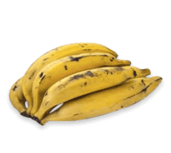 Plátano Macho